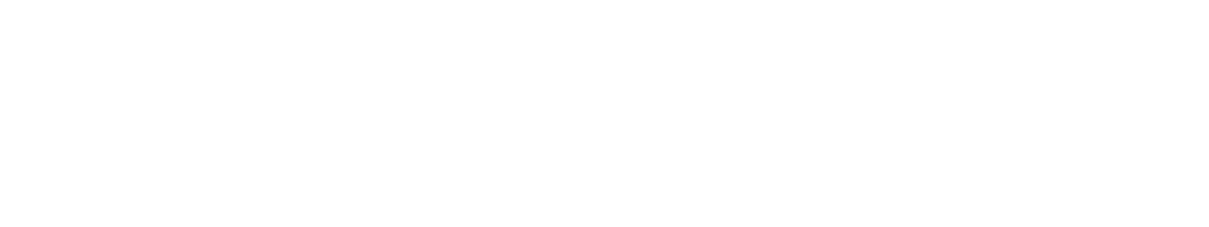 wraith logo photo